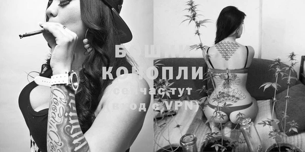 стафф Касимов