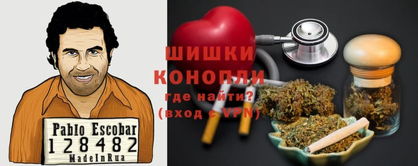 стафф Касимов