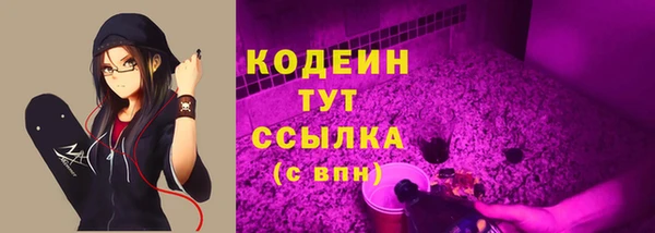 круглые Карпинск