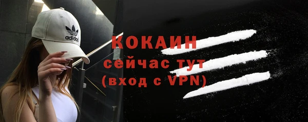 круглые Карпинск