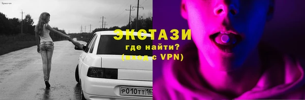 стафф Касимов