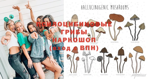 круглые Карпинск