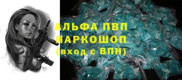 круглые Карпинск