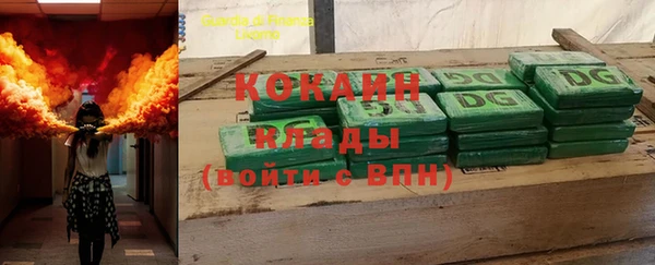 стафф Касимов