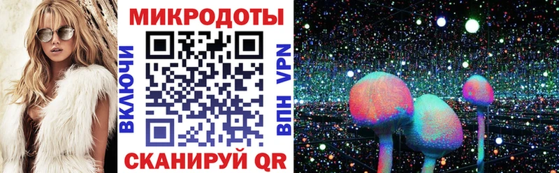 Псилоцибиновые грибы Psilocybe  Купить закладки  Торжок 